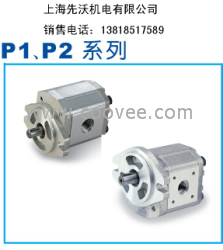 P216RP01DT齿轮泵