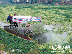 小型河道清淤船，浅水滩漂浮物打捞船