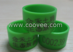 蘇州家禽     用的雞腳環批發  專賣