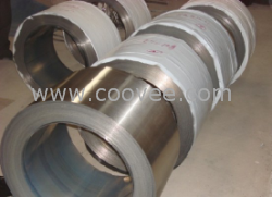 供應 310S不銹鋼帶