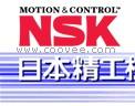 日本NSK轴承6005ZZCM