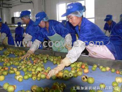 中小型苹果汁苹果酱加工生产线设备厂家销售