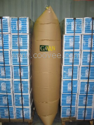 	Dunnage air bag