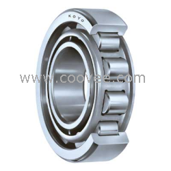 SL045038PP圓柱滾子軸承