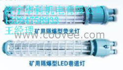 矿用隔爆型荧光灯 矿用防爆灯 矿用LE