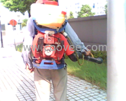 张家港灭跳蚤太仓灭跳蚤【科尔宏企业精益求