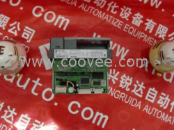 Exide 101072668 模塊