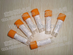 生孢梭菌[CMCC64941]