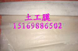 山東人工湖復合土工膜
