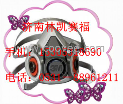 供应3M6100/6200双滤盒面具面罩