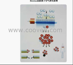 高能离子净化装置