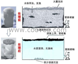 美国新新型产品三组份涂装废水水处理药剂