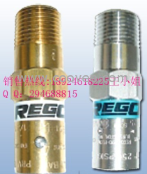 REGO PRV9432T放散阀