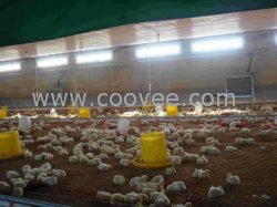 多款式養(yǎng)雞升溫鍋爐@