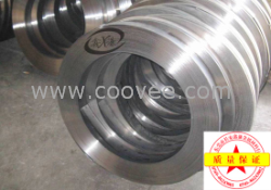 德國(guó)彈簧鋼 65SiCrV7