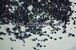 上海海綿鐵濾料行業【奧運火炬手】