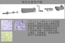 营养舒化大米黄金米机械