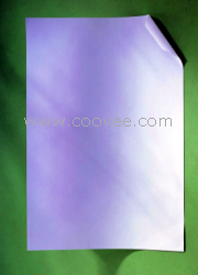 供應浙江0Cr18Ni11Nb不銹鋼