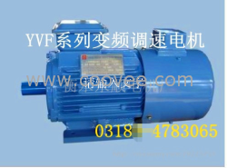 變頻電機(jī)廠家﹏制造商讓利供應(yīng)