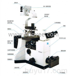 倒置荧光显微镜IBE2000