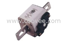 熔斷器170M4809,170M5460