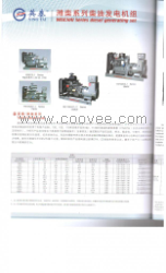 廈門發(fā)電機 廈門發(fā)電機出租 廈門發(fā)電機組