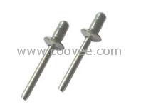 鋁合金、不銹鋼雙鼓型大帽沿抽芯鉚釘