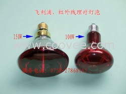 R95E 230V100W紅外線理療燈泡