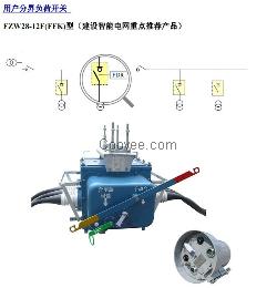 FZW28-12F用户分界开关