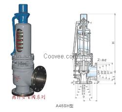 A48sH-16CDN65带散热器阀