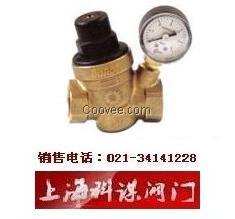 多若特D06E壓力平衡式減壓穩(wěn)壓閥