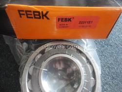 FEBK29456