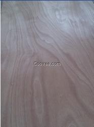 供應單砂楊雜木膠合板 裝飾板