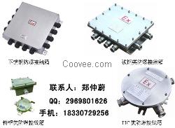 防爆接线箱  不锈钢防爆接线箱