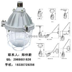 隔爆型防爆灯 IIB类防爆节能灯