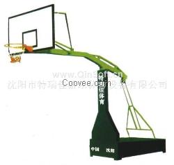 沈陽籃球架籃球場地鋪裝排球場地鋪裝廠家特瑞佳