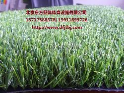 上海草坪建設 上海人造草運動場建設