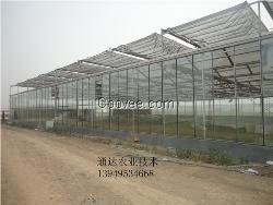 智能温室大棚玻璃温室工程建设规划