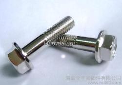 DIN6921不銹鋼法藍面螺栓