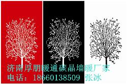 節能遠紅外碳晶墻暖價格 山東碳晶墻暖廠家