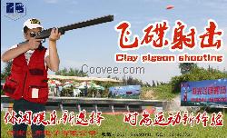 電子激光飛靶 電子激光飛碟 電子激光射擊