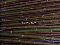 廠(chǎng)家供應(yīng)杞柳苗/達(dá)河杞柳供/供應(yīng)