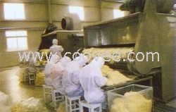 無錫網帶式干燥機由常州二干供應 質量