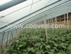 高標準日光溫室大棚建設，日光溫室專用塑鋼