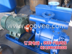 真空泵，水環式真空泵，sk20