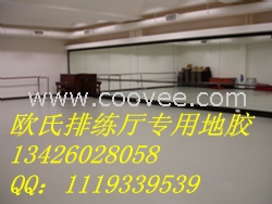 精品舞蹈地膠價格