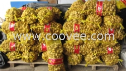 青州金澤食品專門賣大姜