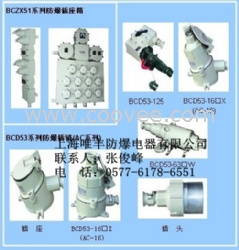 防爆检修电源插座箱生产厂家