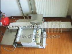 北京自動穿串機