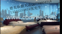 梅州燈光膜，高要柔性天花，四會LED燈膜